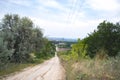 Summer landscape rural road rural evening landscape. Royalty Free Stock Photo