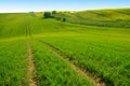 Summer landscape with rural way, wonderful cloudy sky, trees and