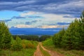 Summer landscape. A sandy country road leads to a dark pine forest on the horizon.