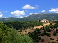 Summer landscape in Sardinia with pines and some houses