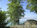 Summer landscape - the shore with trees and stones and the calm expanse