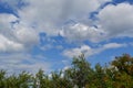 Summer landscape. Sky with clouds and tree tops. Garden in warm sunny day Royalty Free Stock Photo