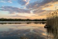 Summer landscape of sky and forest reflecting on mirror lake surface