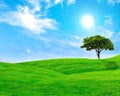 Summer landscape with sky, green grass and trees Royalty Free Stock Photo