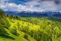 Summer landscape with snowy mountains near Brasov,Transylvania,Romania,Europe Royalty Free Stock Photo