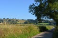 English summer landscape, Somerset, UK Royalty Free Stock Photo