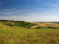 Summer landscape in South Moravia, Czehc republic