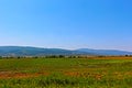 Summer landscape from Southwest Bulgaria including plains, blue sky and mountain Royalty Free Stock Photo