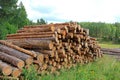 Summer Landscape with Stack of Pine Logs Royalty Free Stock Photo