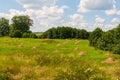 Summer landscape. Stacks of mowed hay in the meadow, forest in the distance