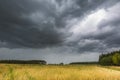 Summer landscape with storm sky over rye field