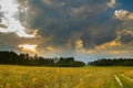 Summer landscape with stormy sky over fields Royalty Free Stock Photo