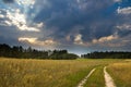 Summer landscape with stormy sky over fields Royalty Free Stock Photo