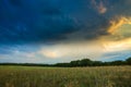 Summer landscape with stormy sky over fields Royalty Free Stock Photo