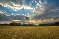 Summer landscape with stormy sky over fields Royalty Free Stock Photo