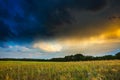 Summer landscape with stormy sky over fields Royalty Free Stock Photo