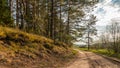Summer landscape. Suburban dirt road along the forest in the evening light Royalty Free Stock Photo