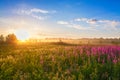 Summer landscape with the sunrise, a blossoming meadow and fog Royalty Free Stock Photo