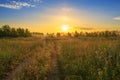 Summer landscape with sunrise, fog and the road Royalty Free Stock Photo