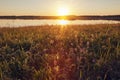 Summer landscape sunset over the lake on evening Royalty Free Stock Photo