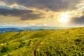 summer landscape at sunset. path through hillside meadow on the mountain ridge under the cloudy sky