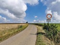 Summer landscape with road and fields on the sidelines