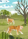 Summer landscape with tiger and lynx. Big cats. Hand draw vector Illustration with animals and forest