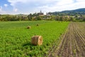 Summer landscape in the traditional villages of the Saxons in Transylvania, Romania