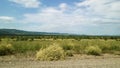 Summer landscape of Transbaikalia