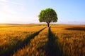 Summer landscape with tree in golden barley field at sunset.