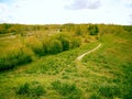 Summer landscape with trees and shrubs in the background