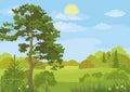 Summer landscape with trees and sky Royalty Free Stock Photo