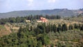 Summer landscape in Tuscany, around the town of Panzano, olive and cypress groves, vineyards, Chianti, Italy Royalty Free Stock Photo