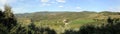 Summer landscape in Tuscany, around the town of Panzano, olive groves and vineyards, Chianti, Italy