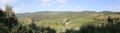 Summer landscape in Tuscany, around the town of Panzano, olive groves and vineyards, Chianti, Italy Royalty Free Stock Photo