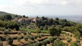 Summer landscape in Tuscany, around the town of Panzano, olive groves and vineyards, Chianti, Italy Royalty Free Stock Photo