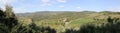 Summer landscape in Tuscany, around the town of Panzano, olive groves and vineyards, Chianti, Italy Royalty Free Stock Photo