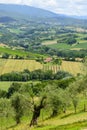 Summer landscape in Umbria (Italy)