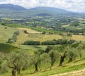Summer landscape in Umbria (Italy)