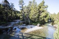 Summer landscape in Vall de Boi in Aiguestortes and Sant Maurici National Park, Spain