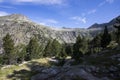 Summer landscape in Vall de Boi in Aiguestortes and Sant Maurici National Park, Spain