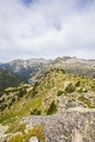 Summer landscape in Vall de Boi in Aiguestortes and Sant Maurici National Park, Spain