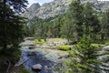 Summer landscape in Vall de Boi in Aiguestortes and Sant Maurici National Park, Spain