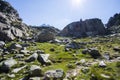 Summer landscape in Vall de Boi in Aiguestortes and Sant Maurici National Park, Spain