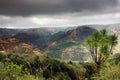 Summer landscape at Waimea canyon Royalty Free Stock Photo