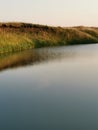 Summer landscape with water of lake and coast with wood