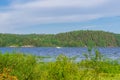 Summer landscape with wetland shore of pond in sunny day. Lake bay and blue sky. Beautiful natural background. Ladoga lake, Royalty Free Stock Photo