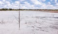 Summer Landscape With White Sand