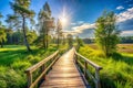 Summer Landscape with Wooden Pathway Royalty Free Stock Photo