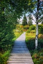 Summer landscape with wooden pathway Royalty Free Stock Photo